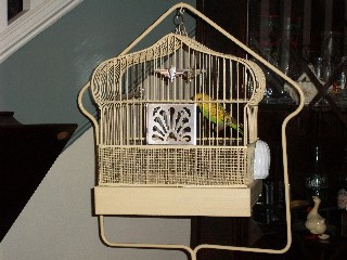 Birdcage in the living room